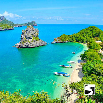 โปรแกรมล่องเรือเที่ยวอุทยานแห่งชาติหมู่เกาะอ่างทอง & ชมปลาโลมาสีชมพู โดยเรือสปีดโบ๊ท